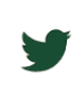 Twitter Icon